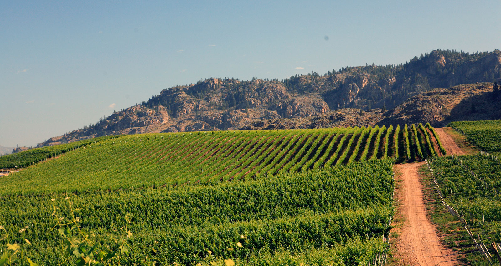 Wine & Wine Tours Destination Osoyoos