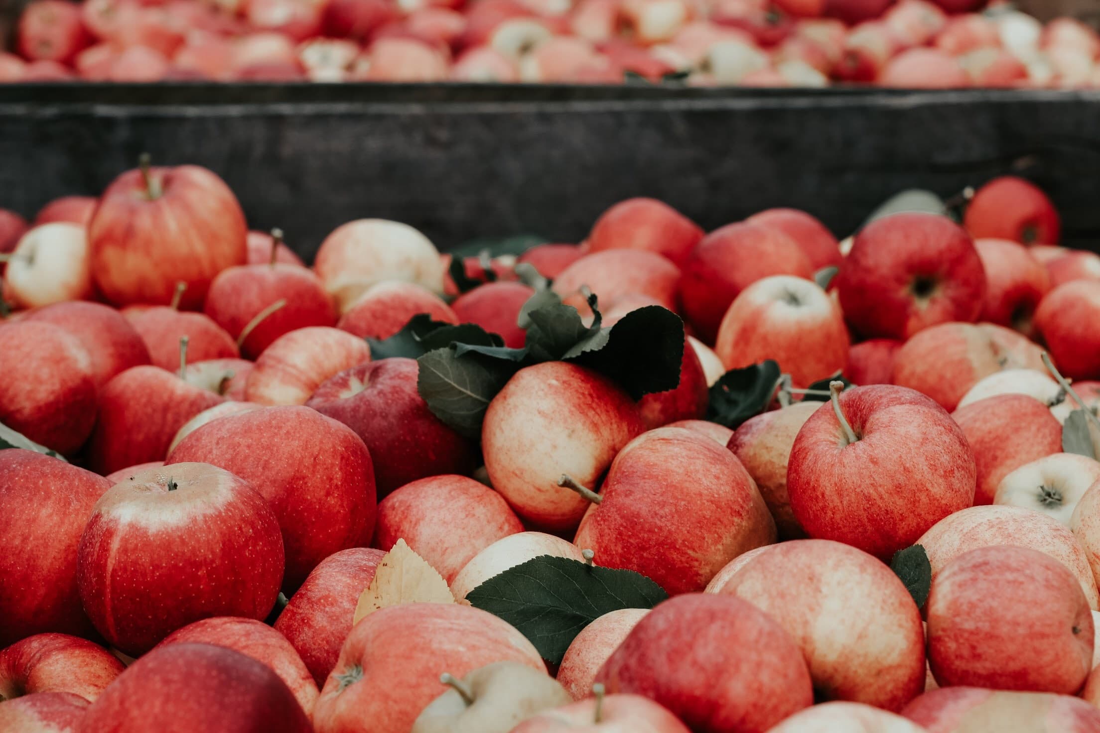Osoyoos Fruit Market