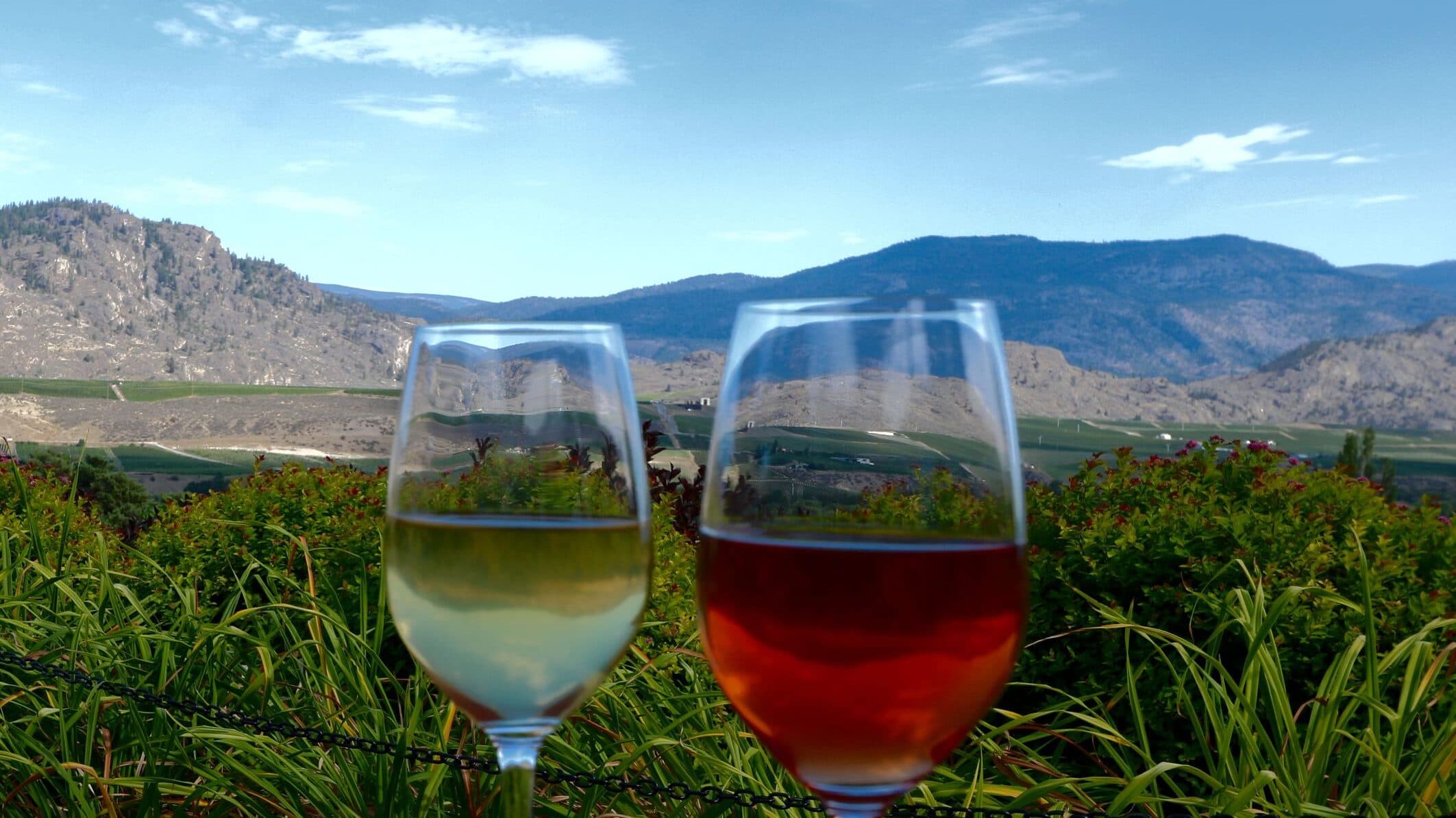 Winter Wine Tours with Corks and Cactus