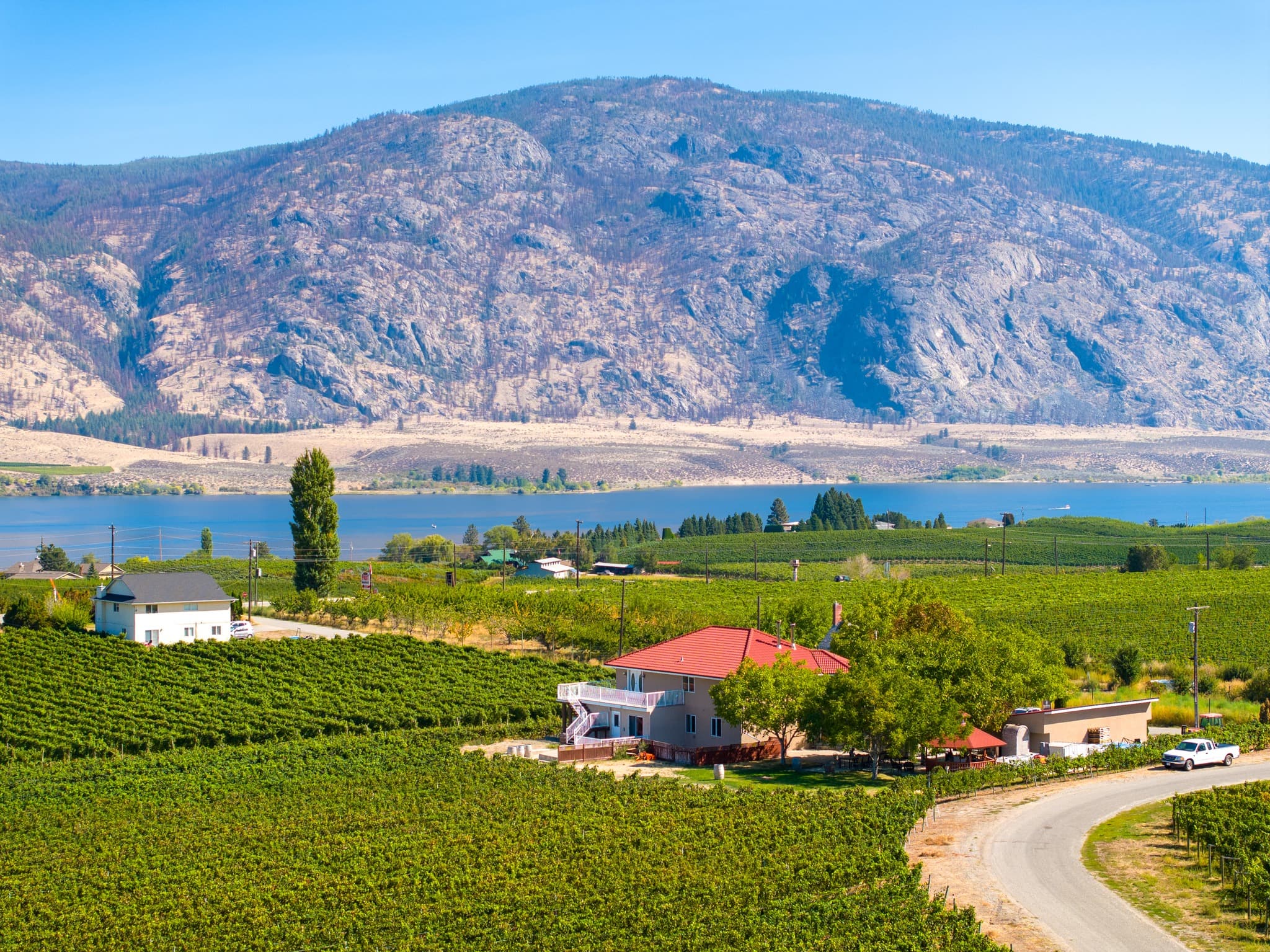 Mythology Vineyard