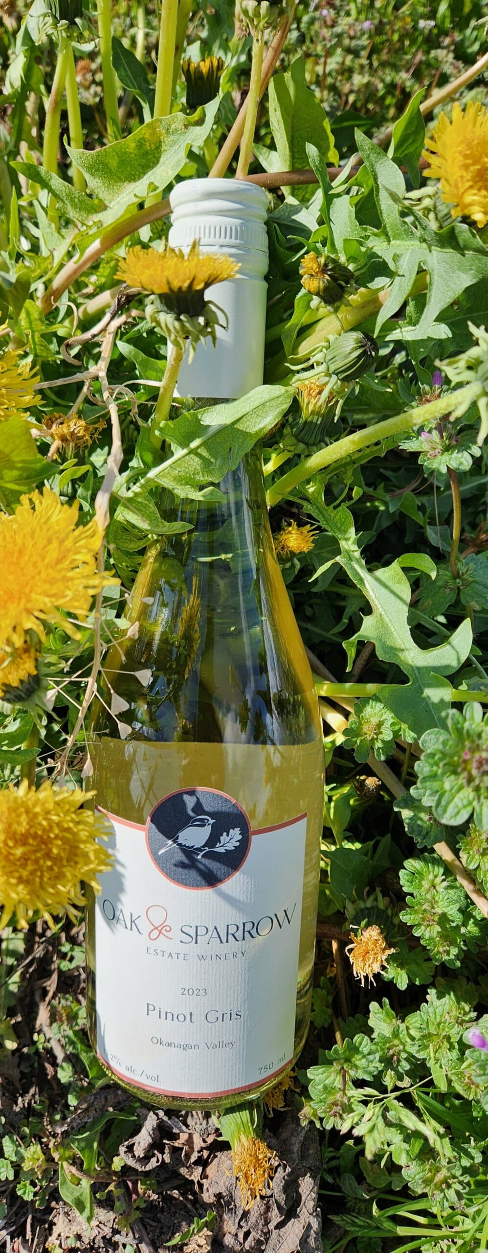 Oak & Sparrow Estate Winery