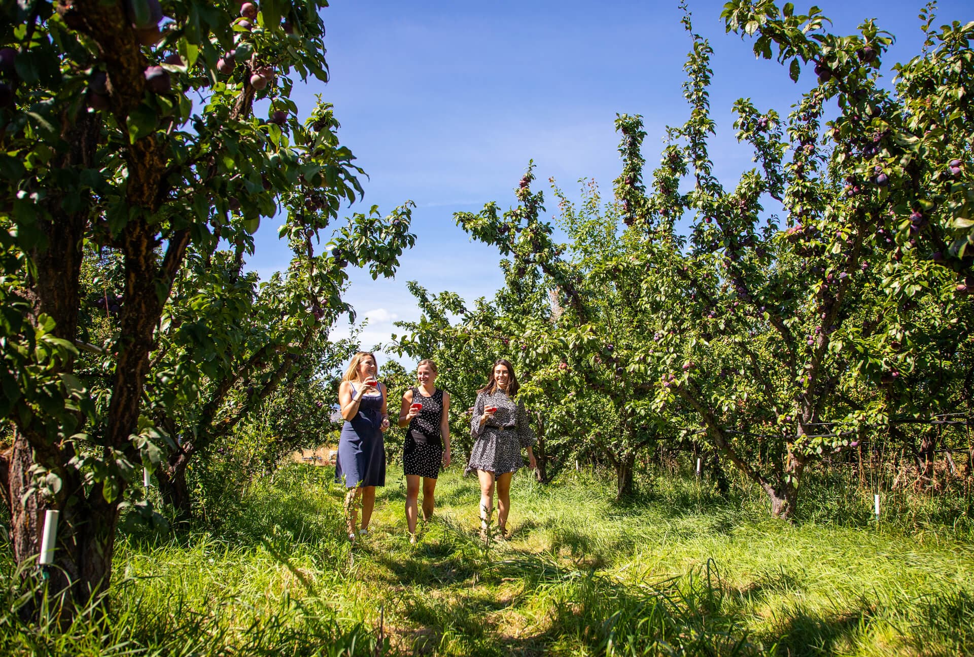 Breweries_and_Cideries_Hero (1)