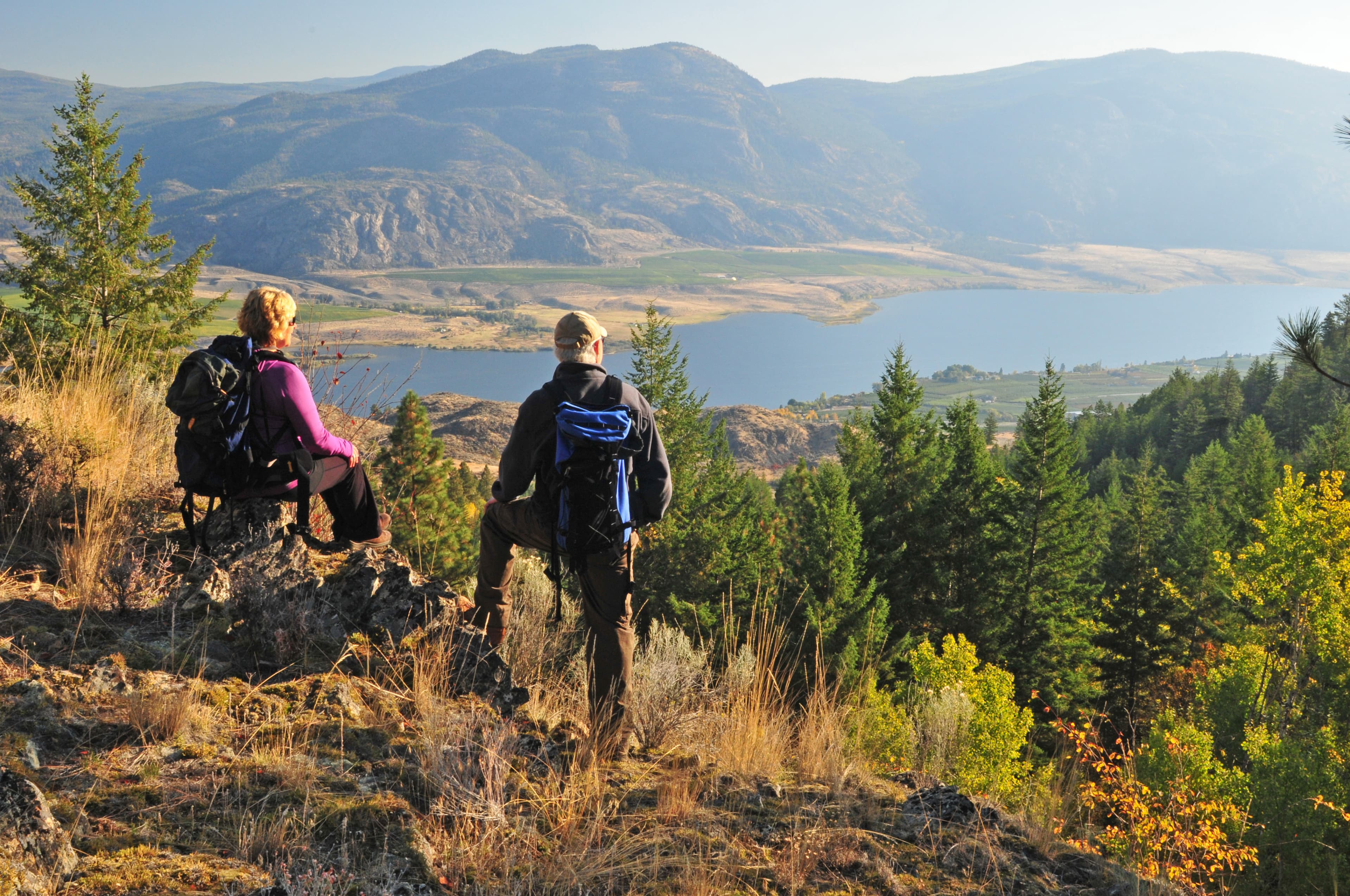 Cyclists pausing on a vineyard road overlooking Osoyoos Lake