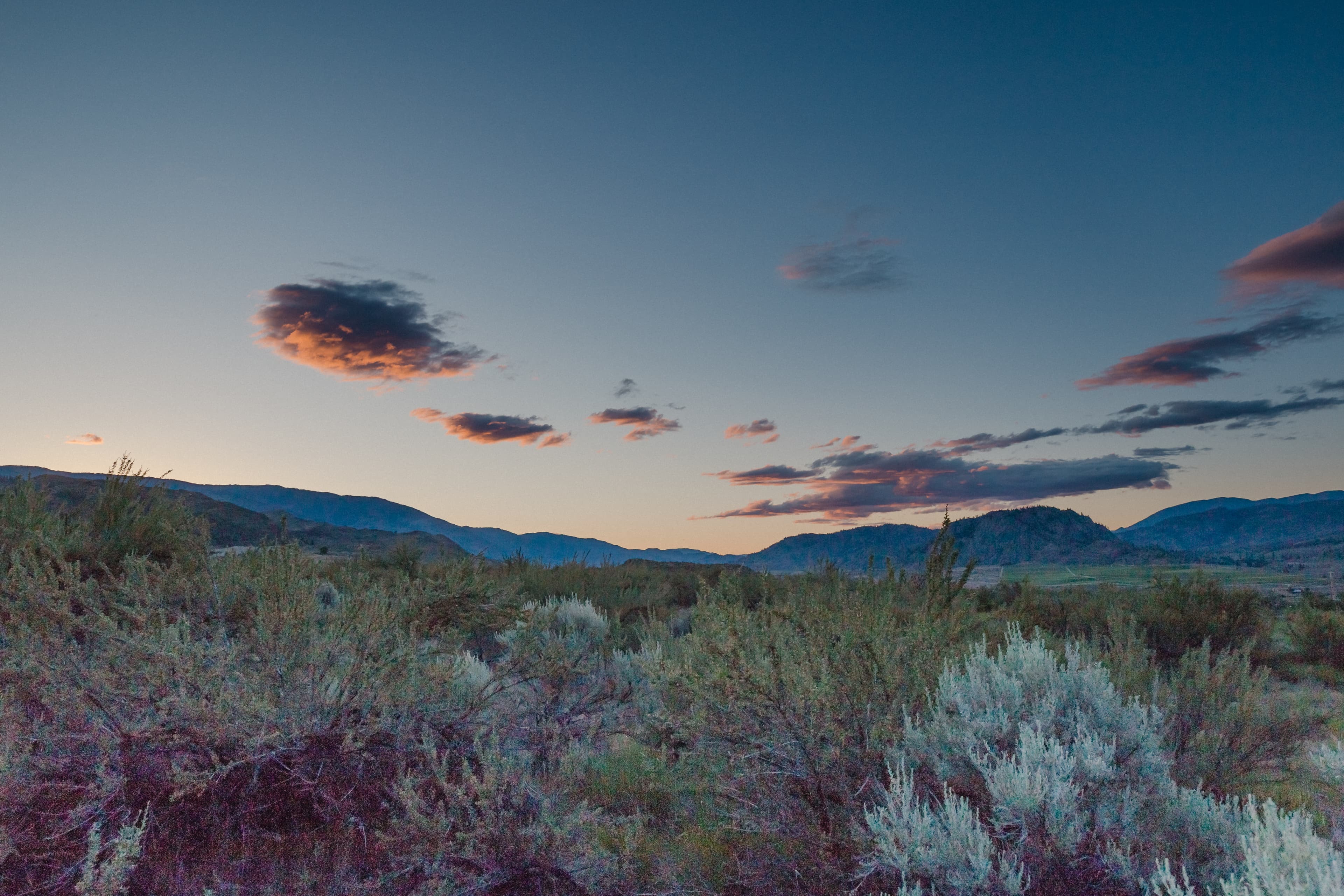 Immerse Yourself in the Osoyoos Desert