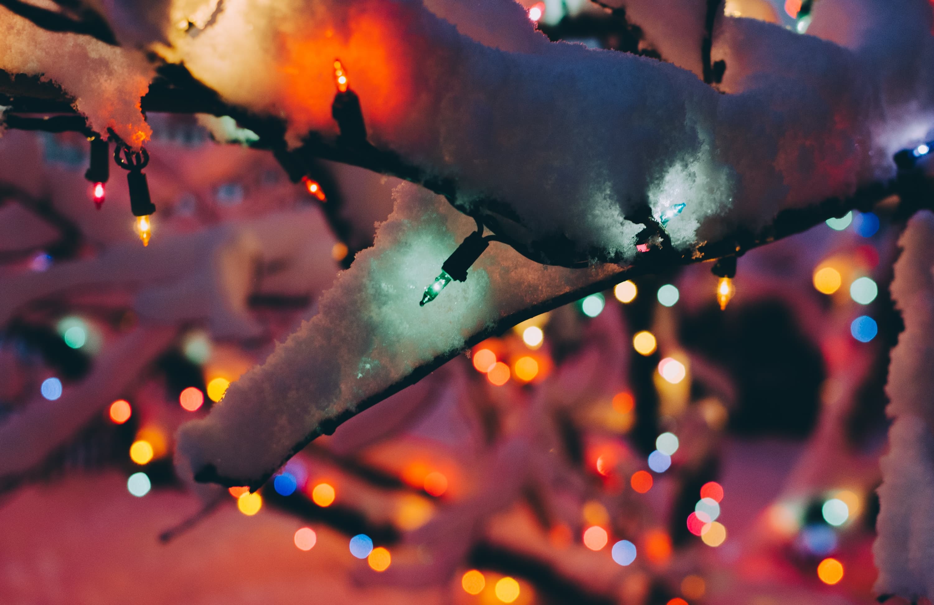 Similkameen Independent Winegrowers Winter Light Up