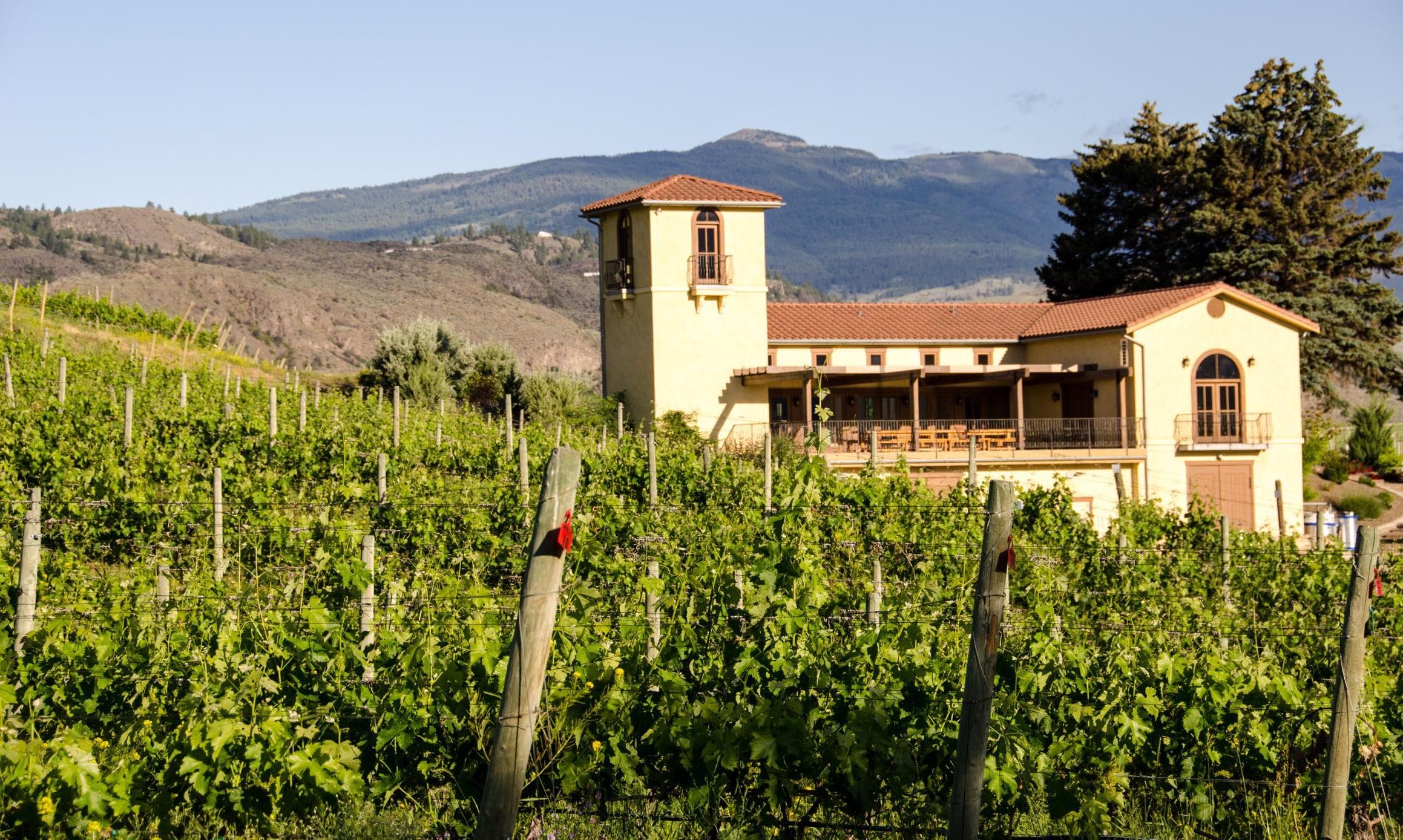 LaStella Winery