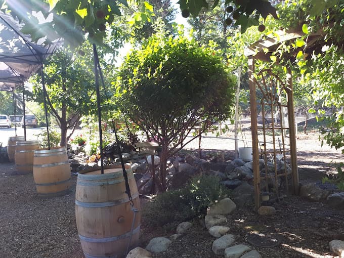 Castoro de Oro Estate Winery