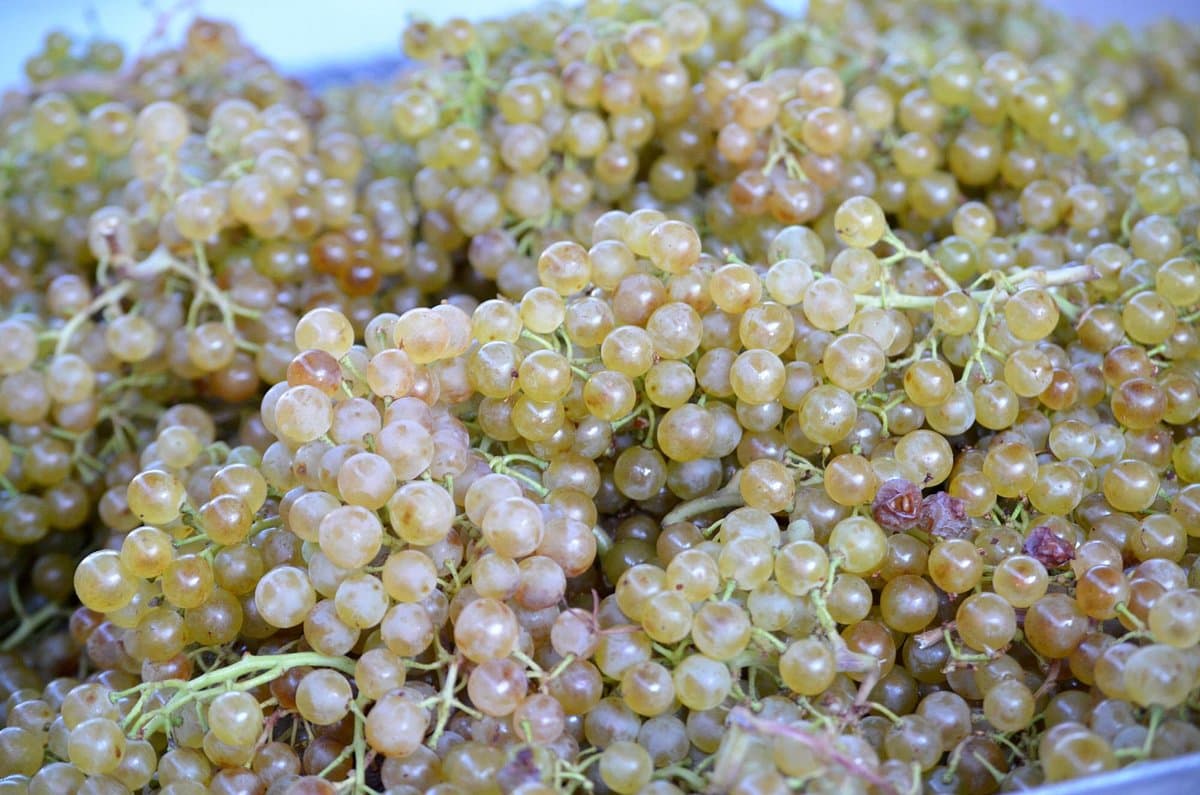 Culmina Family Estate Winery