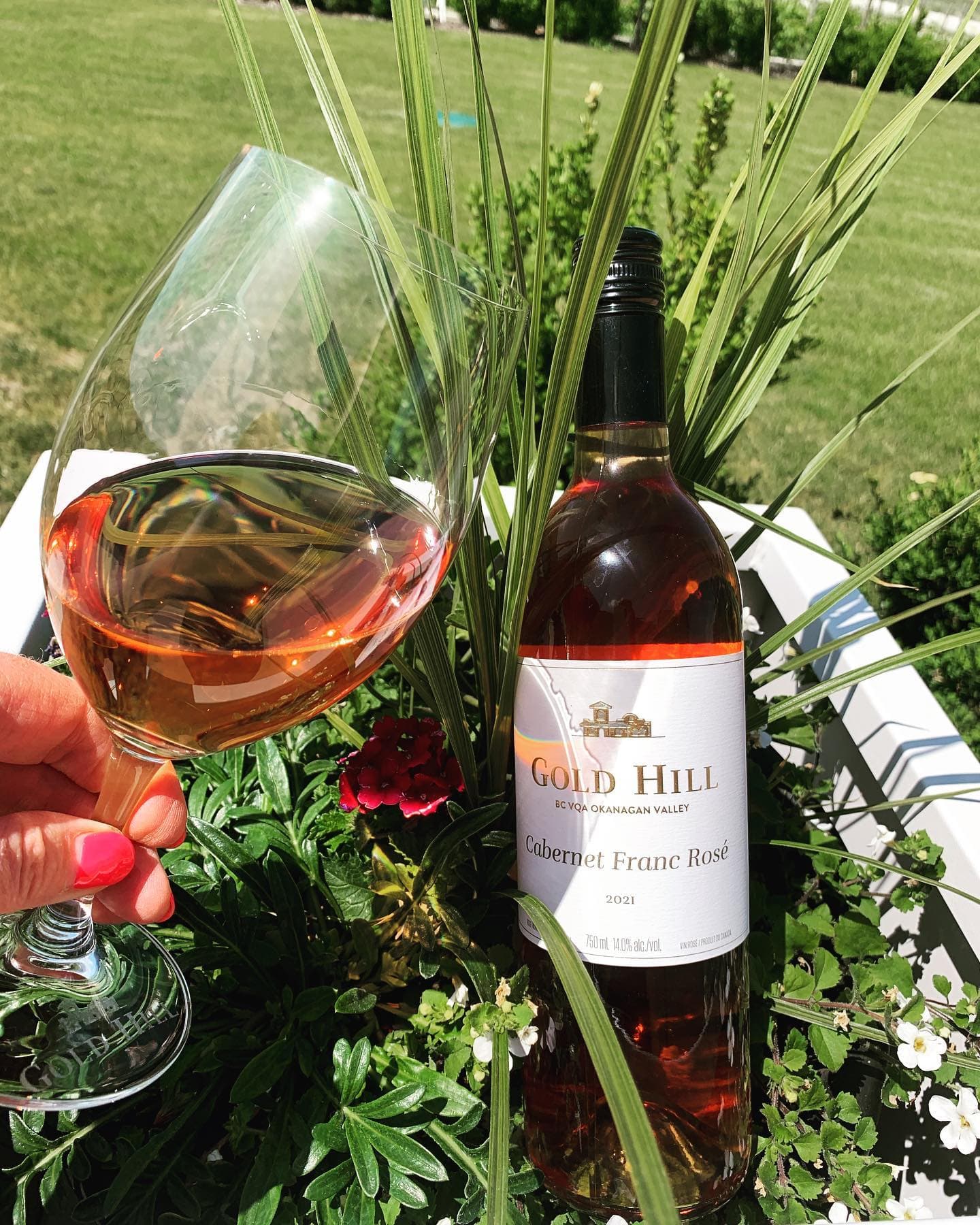 Gold Hill Winery
