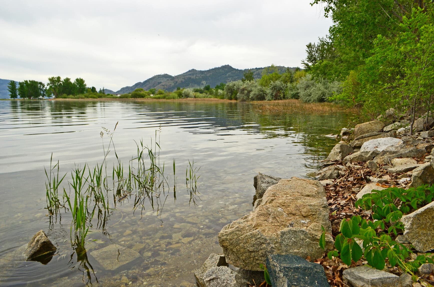 sẁiẁs Provincial Park (Haynes Point)