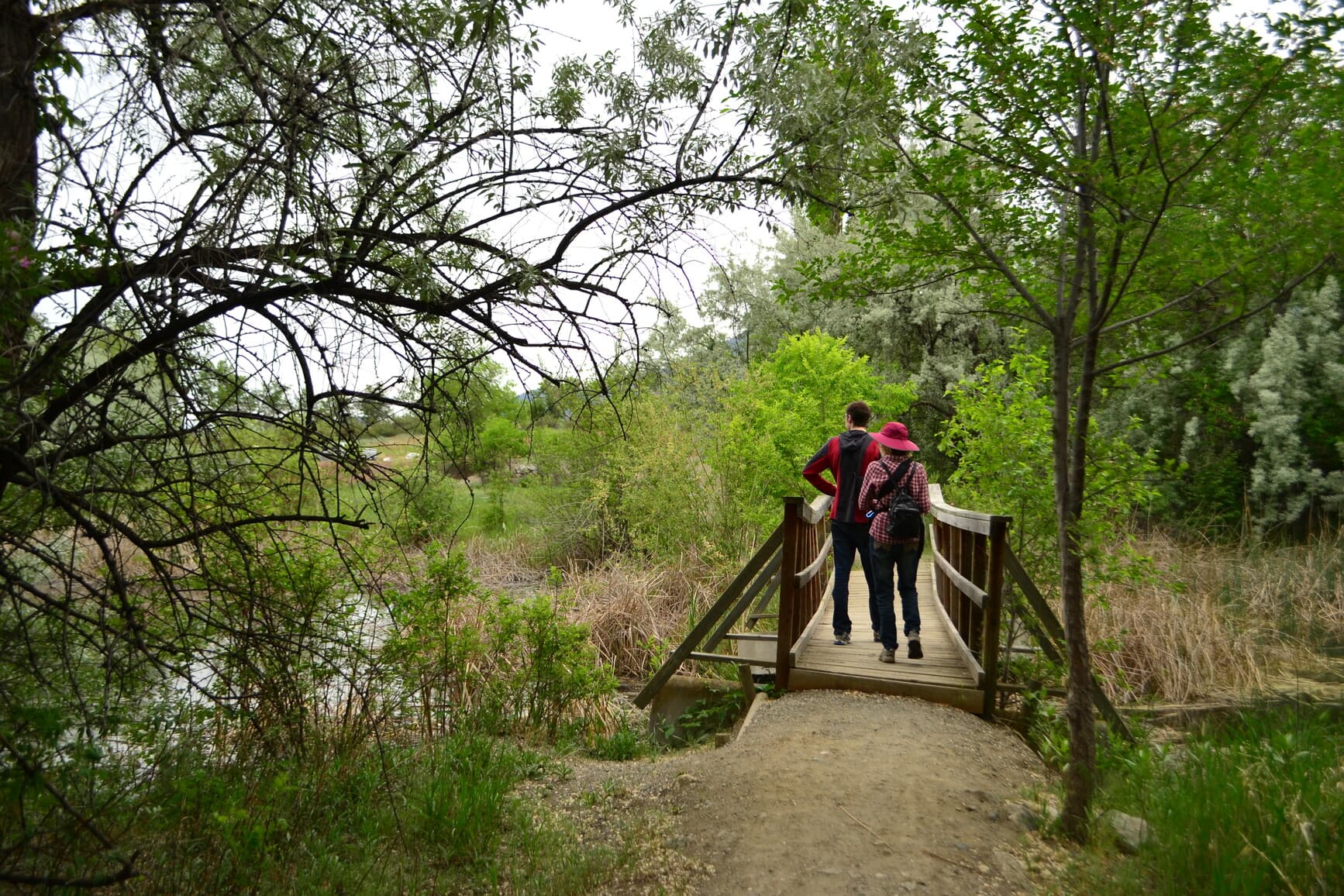 sẁiẁs Provincial Park (Haynes Point)