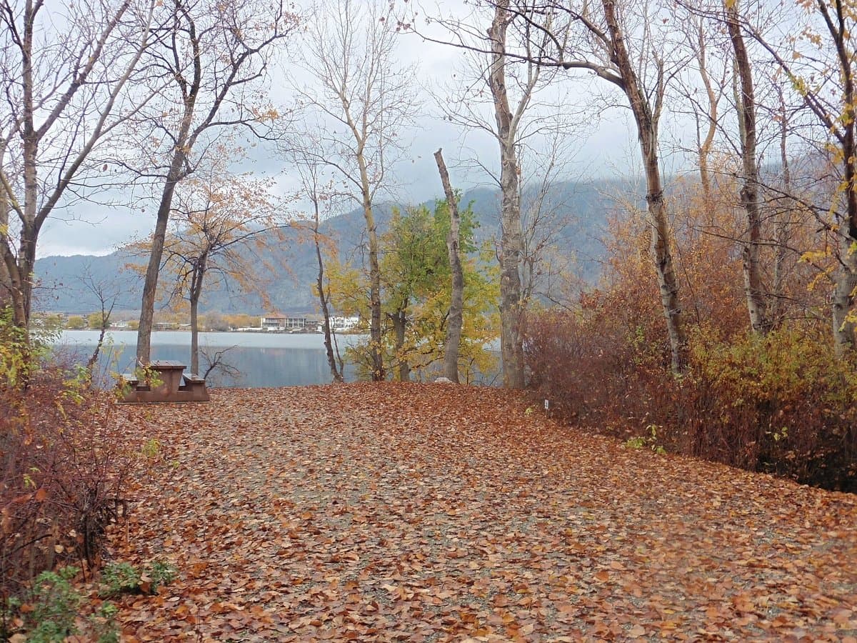 sẁiẁs Provincial Park (Haynes Point)