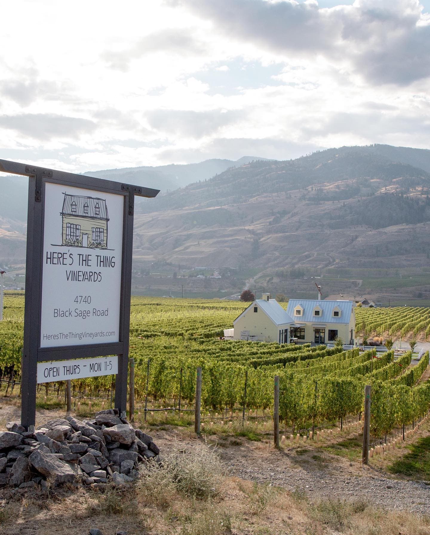 Here’s The Thing Vineyards