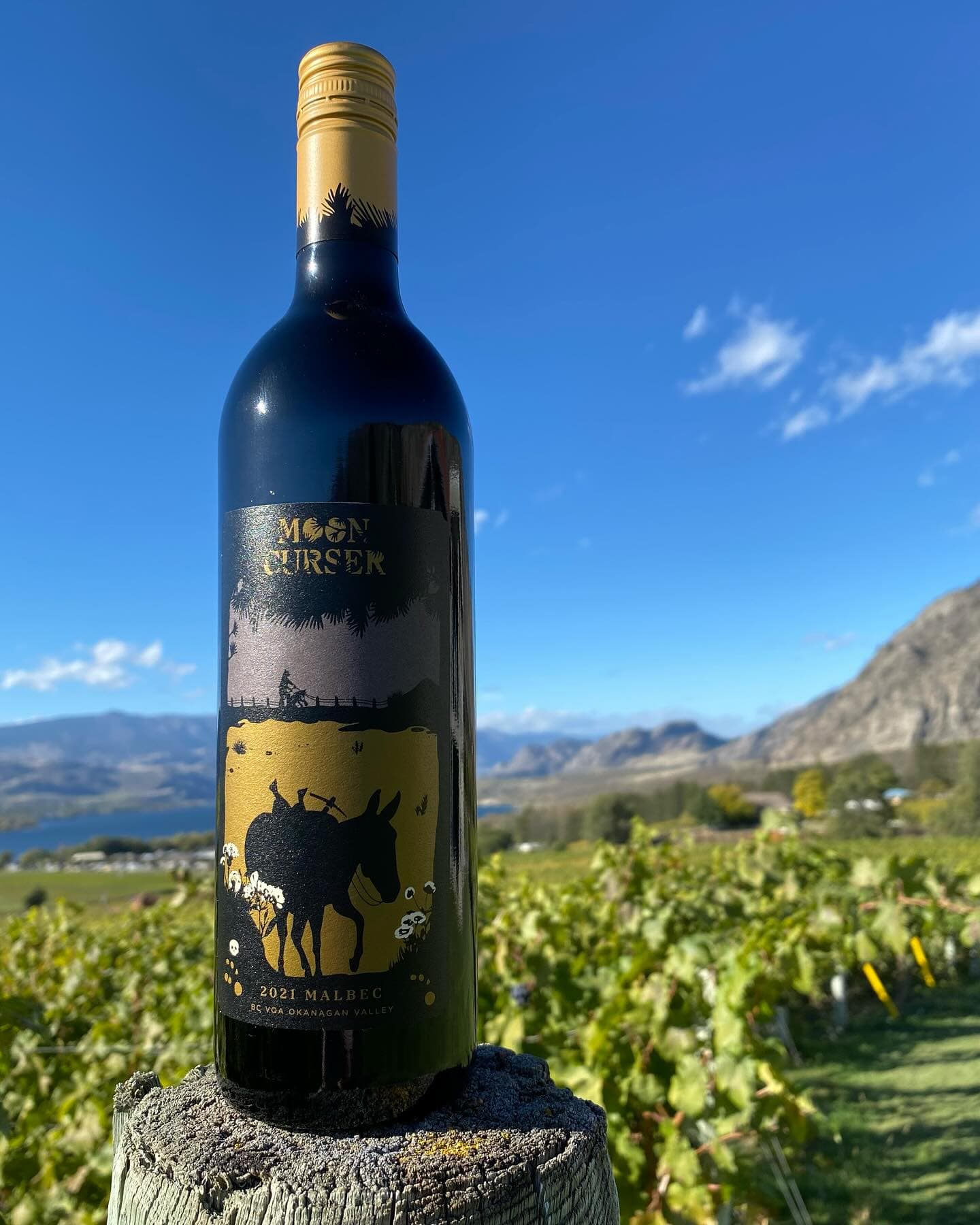 Moon Curser Vineyards