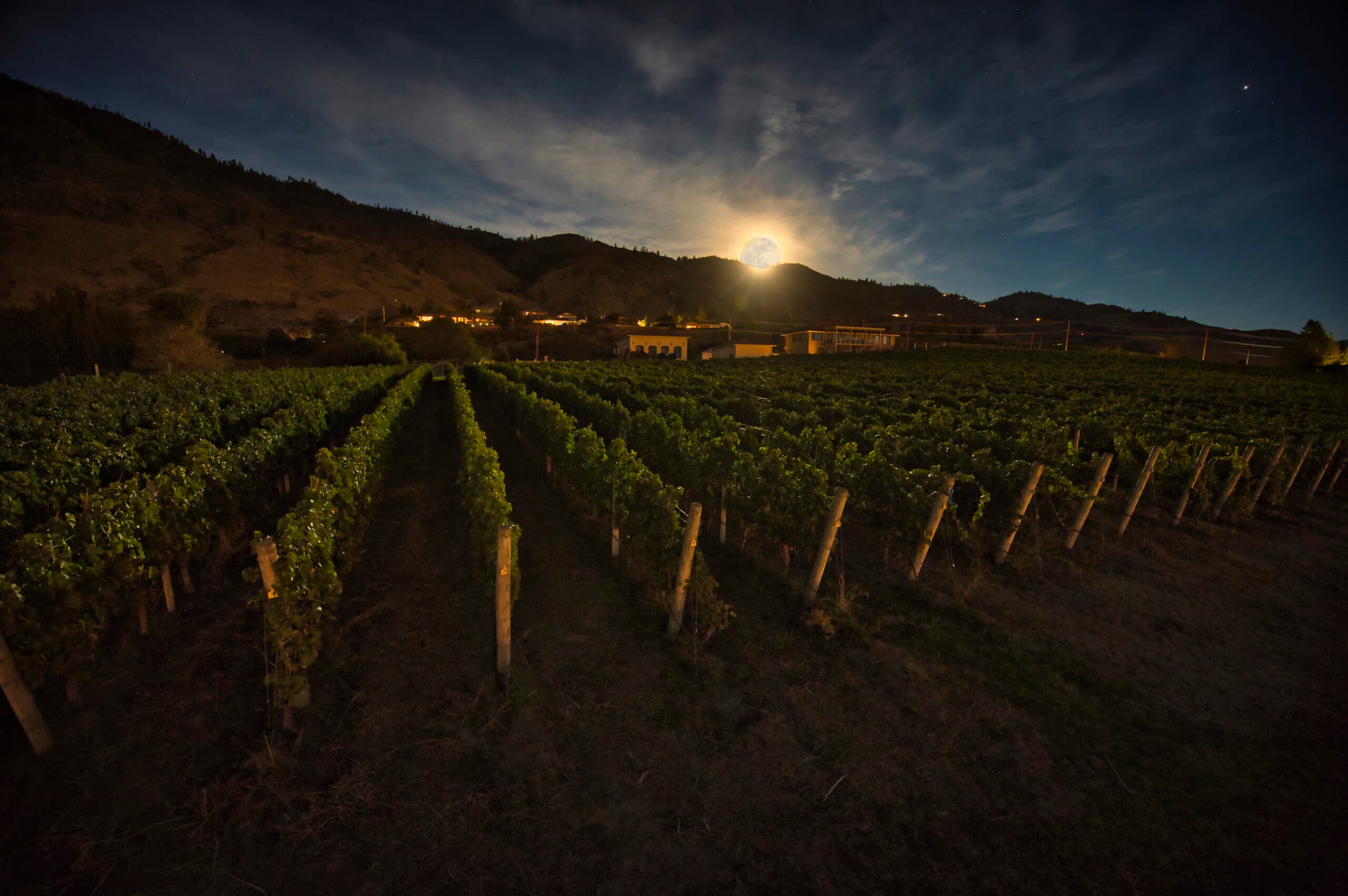 Moon Curser Vineyards