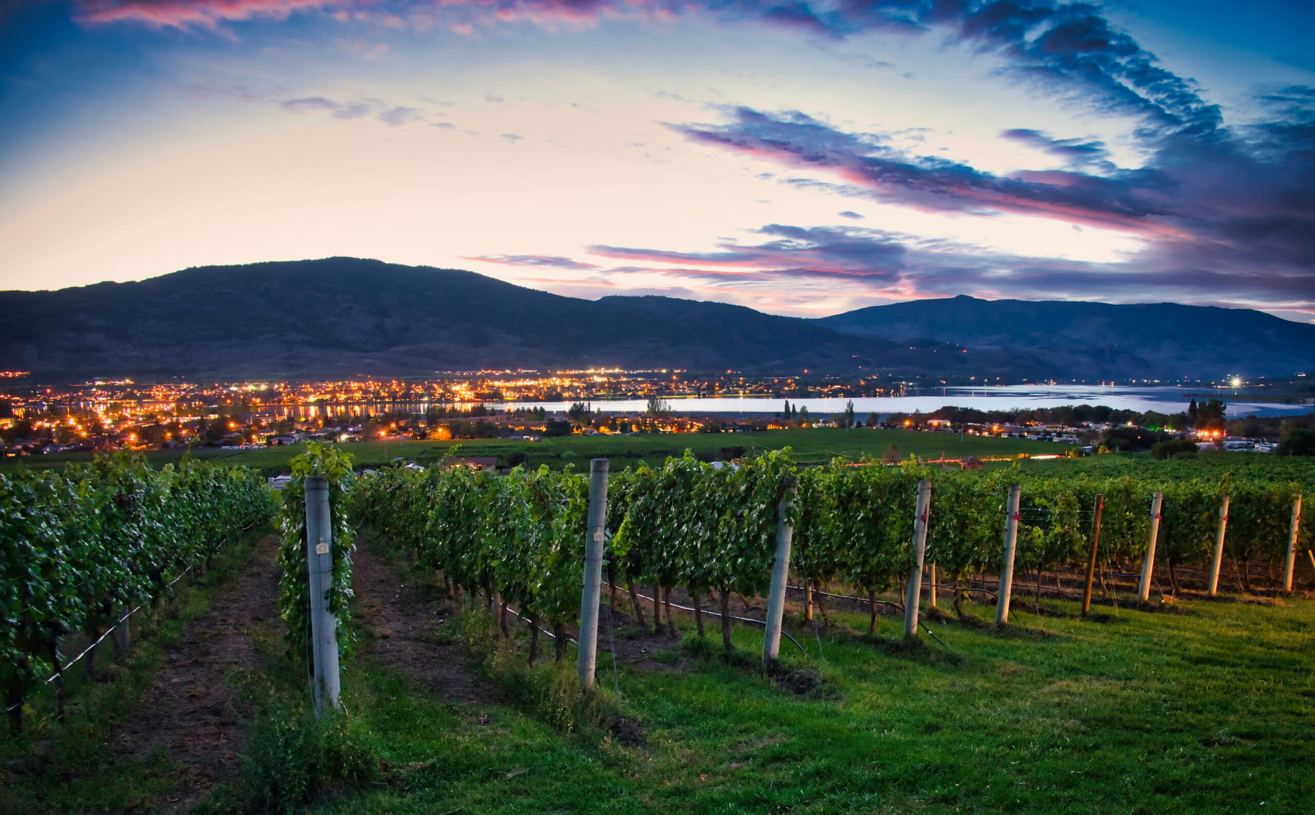 Moon Curser Vineyards