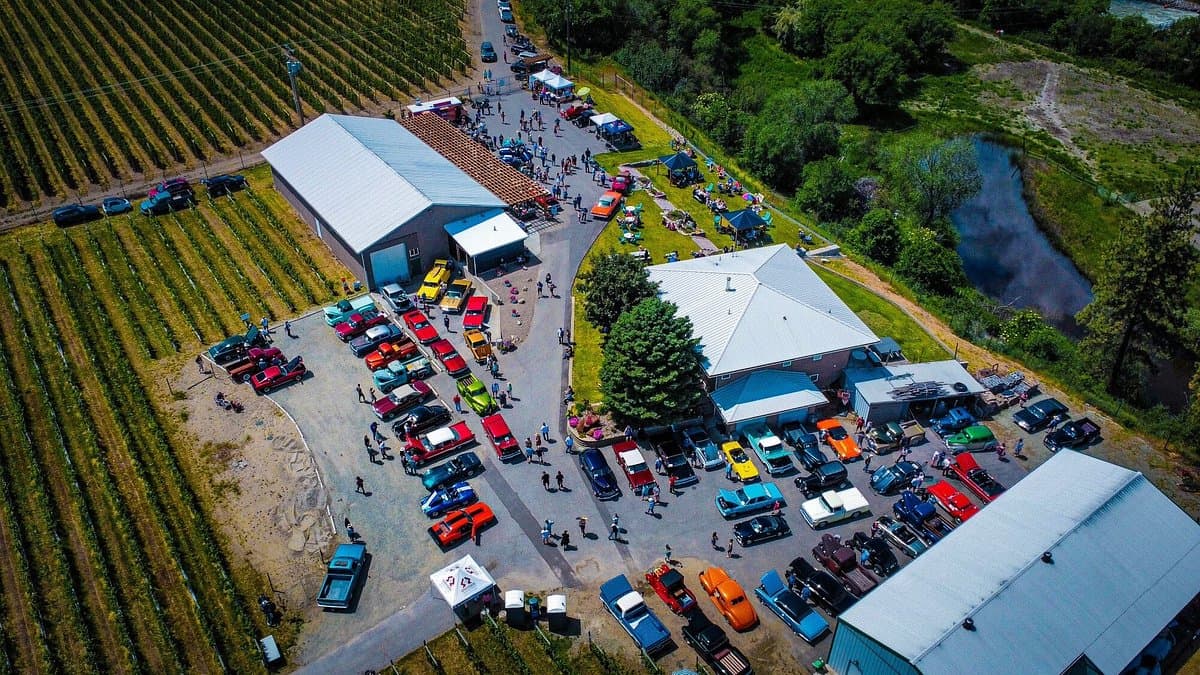Nostalgia Wines