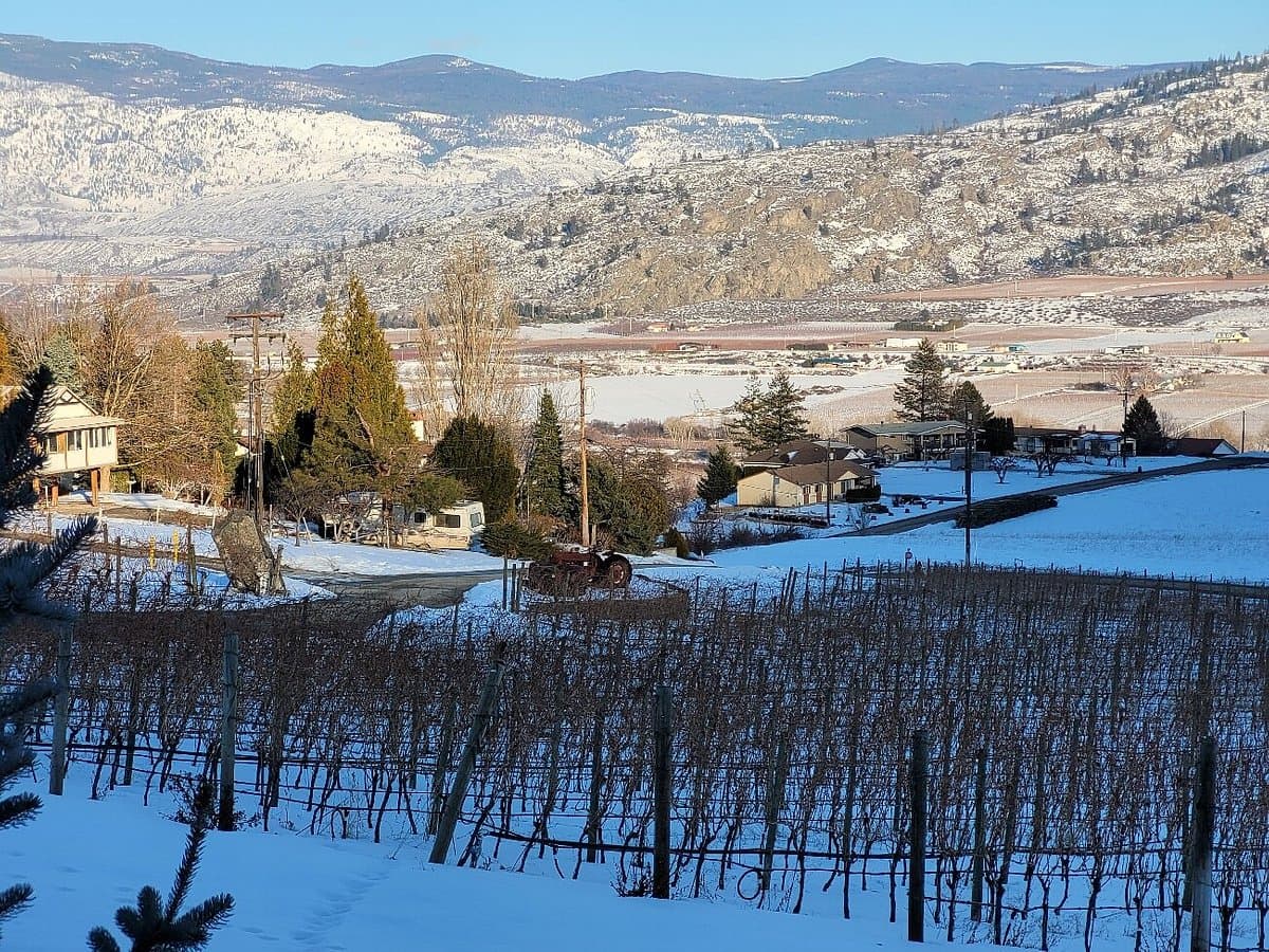 Road 13 Vineyards
