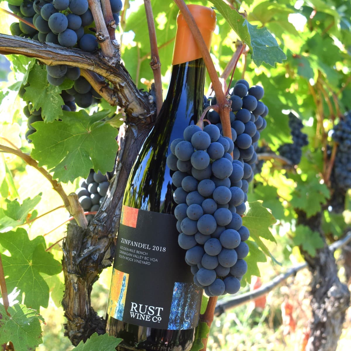Rust Wine Co.