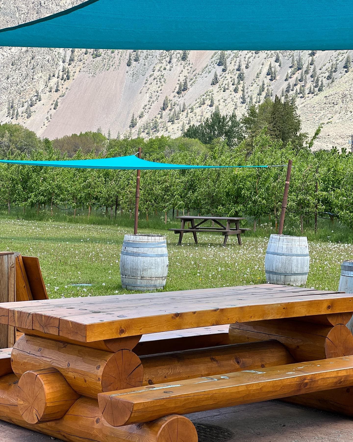 Rustic Roots Winery