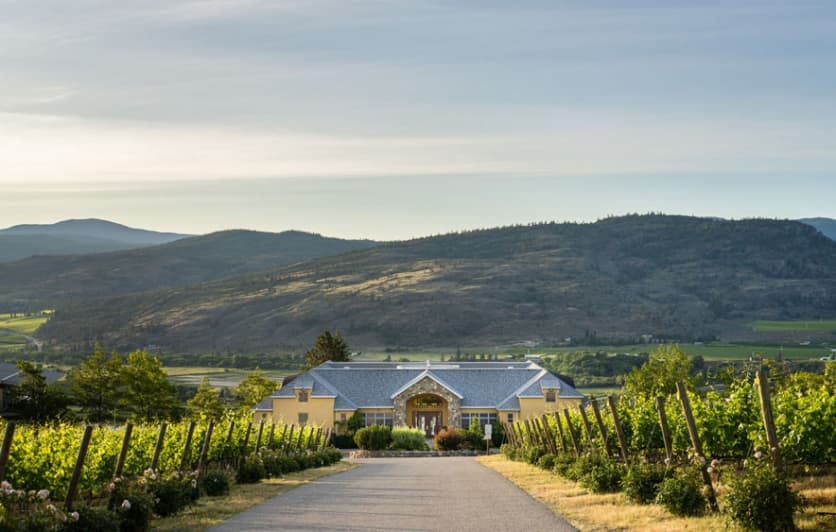 Linocut Workshop with Molly Gray @ Tinhorn Creek Vineyards poster