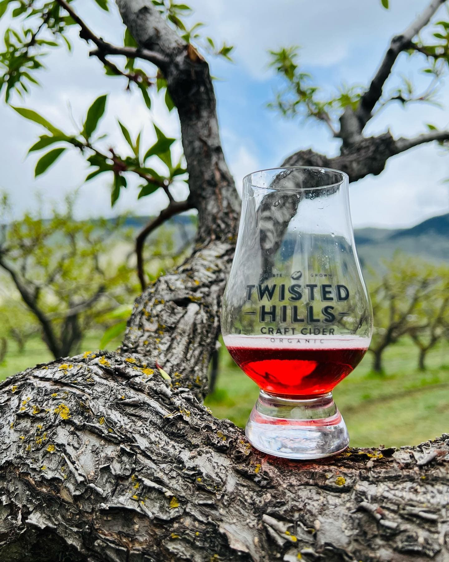Twisted Hills Craft Cider