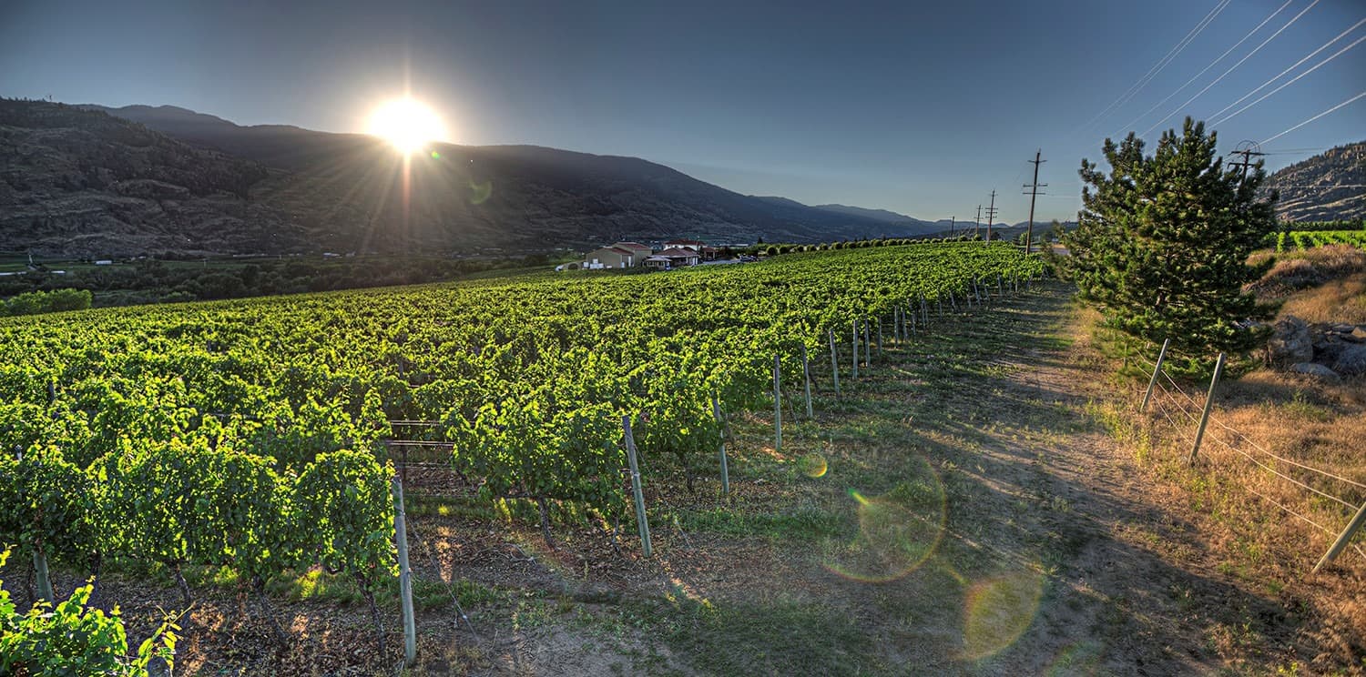 Domaine Artema