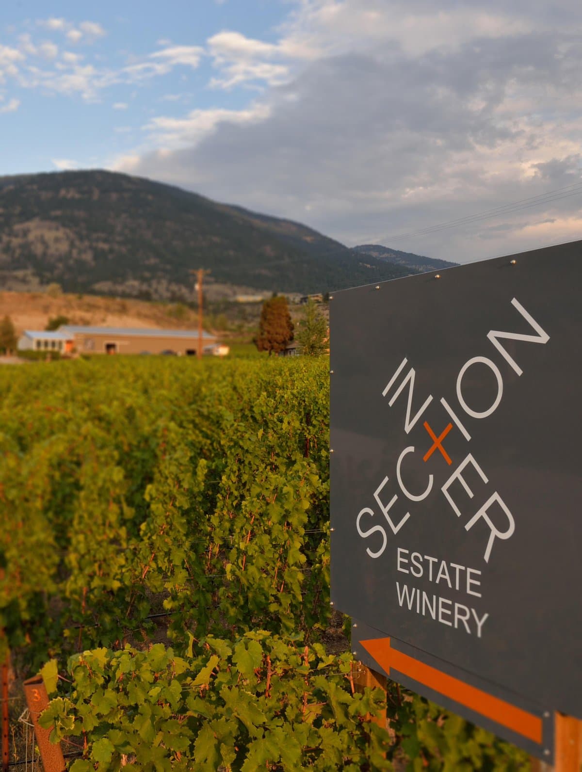 Appassimento & Ripasso Tasting @ Intersection Estate poster