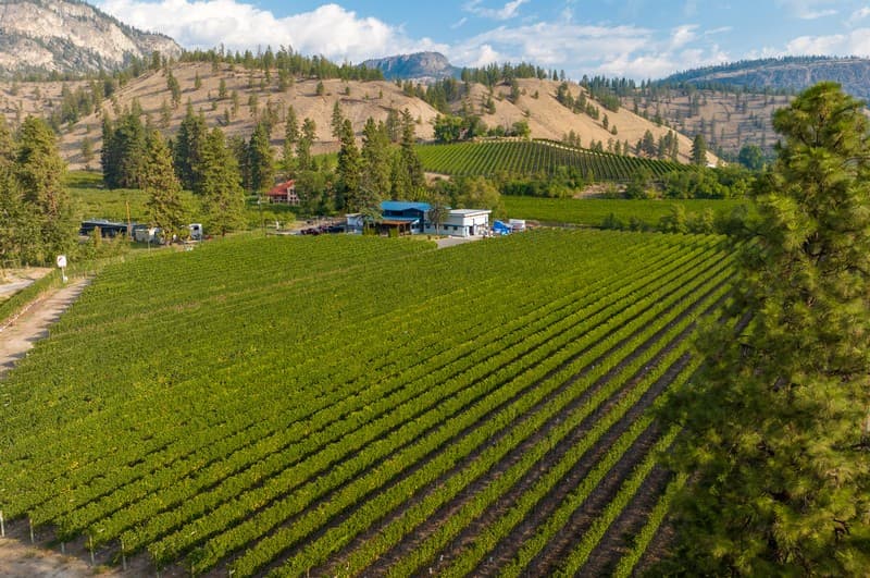 Pipe Dreams Winery
