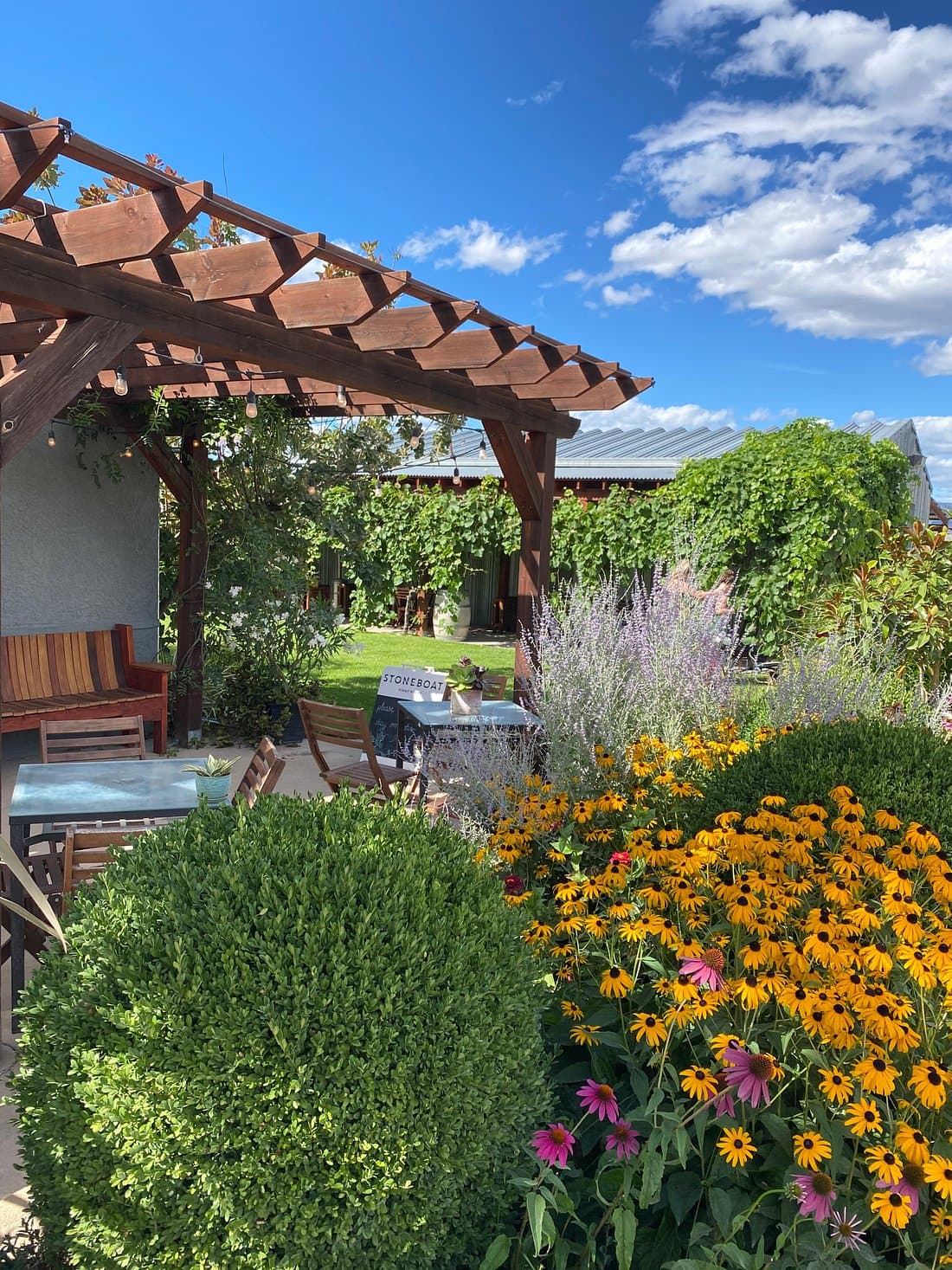 Stoneboat Vineyards
