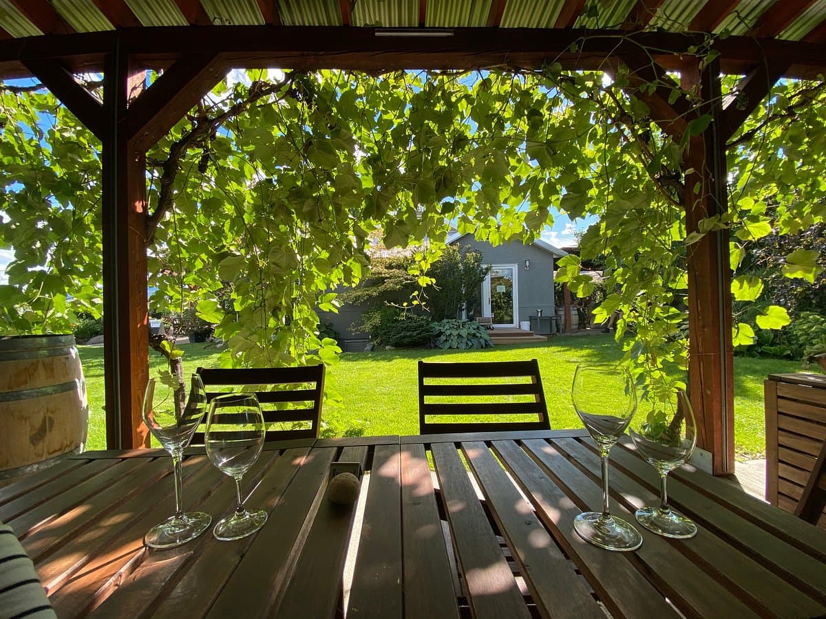 Stoneboat Vineyards