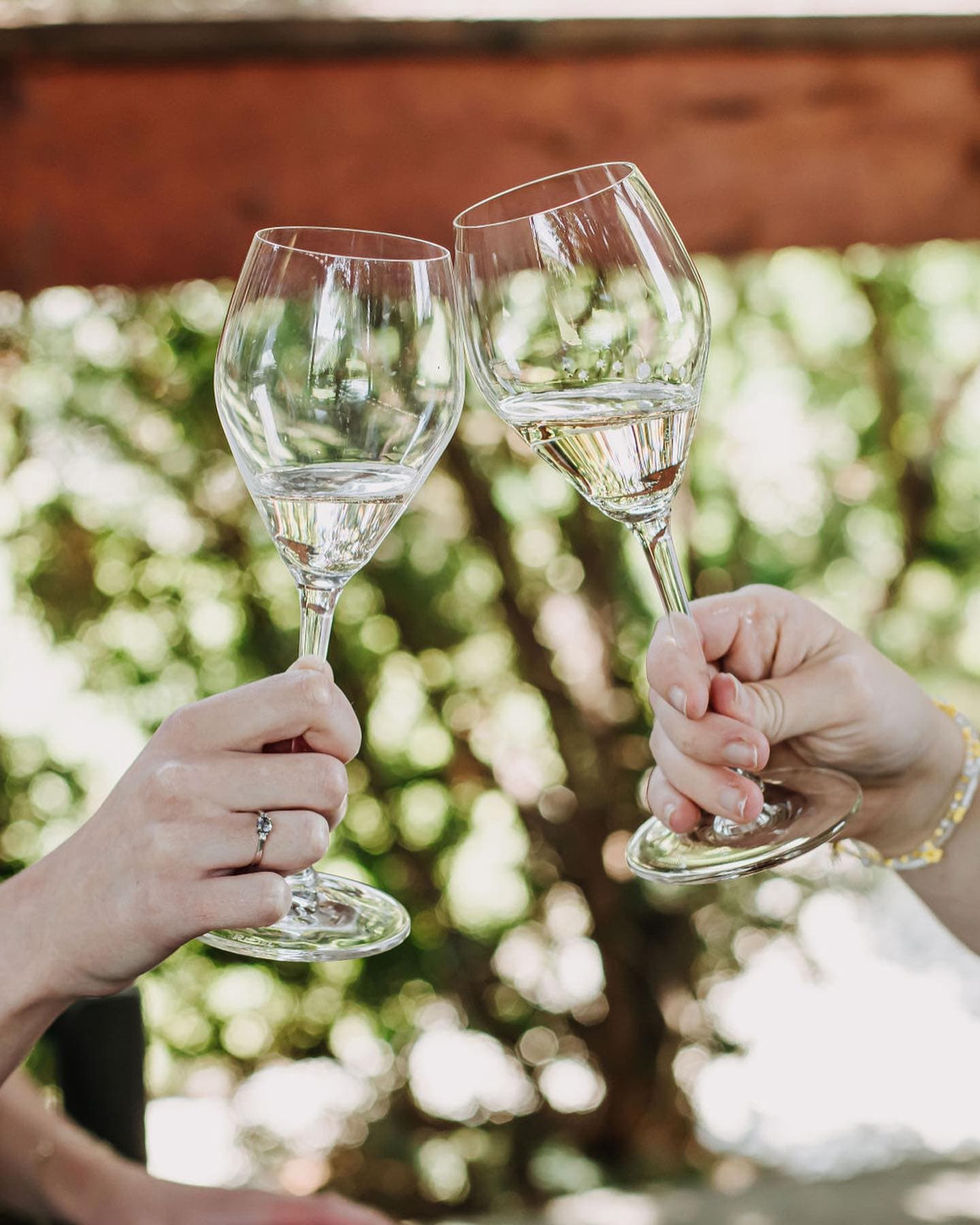 Stoneboat Vineyards