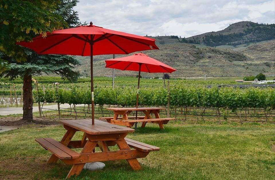 Over the Fence Winery