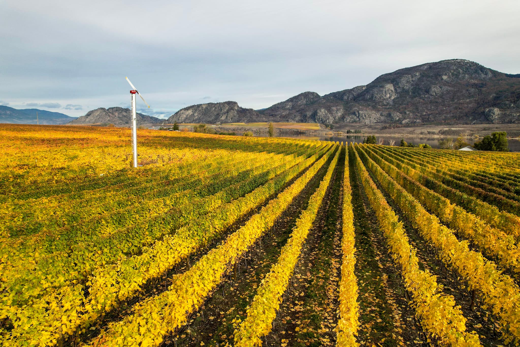 Best places to see fall colours in Osoyoos
