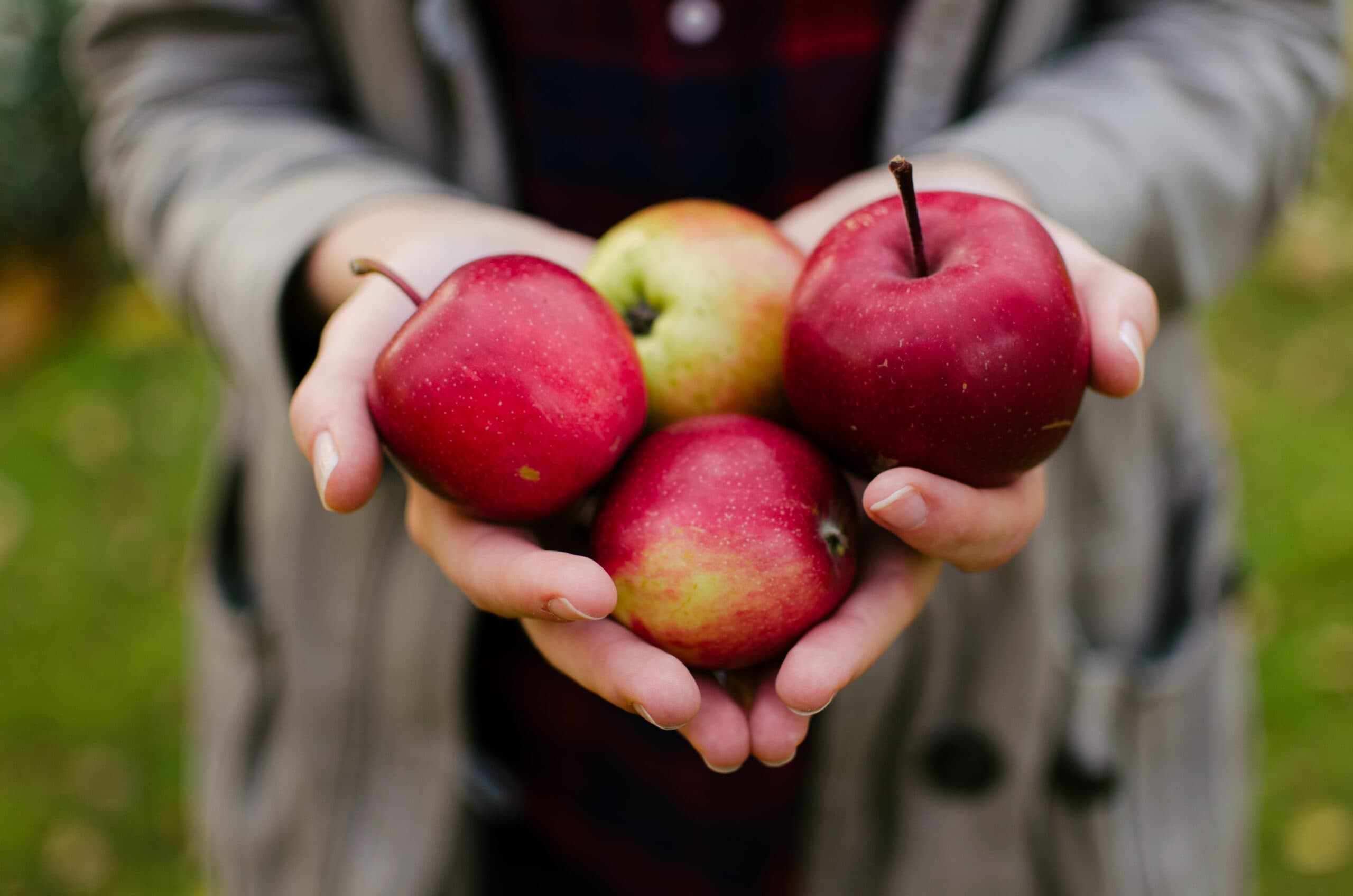 In-cider Info: Explore the Osoyoos Cider Trail this fall