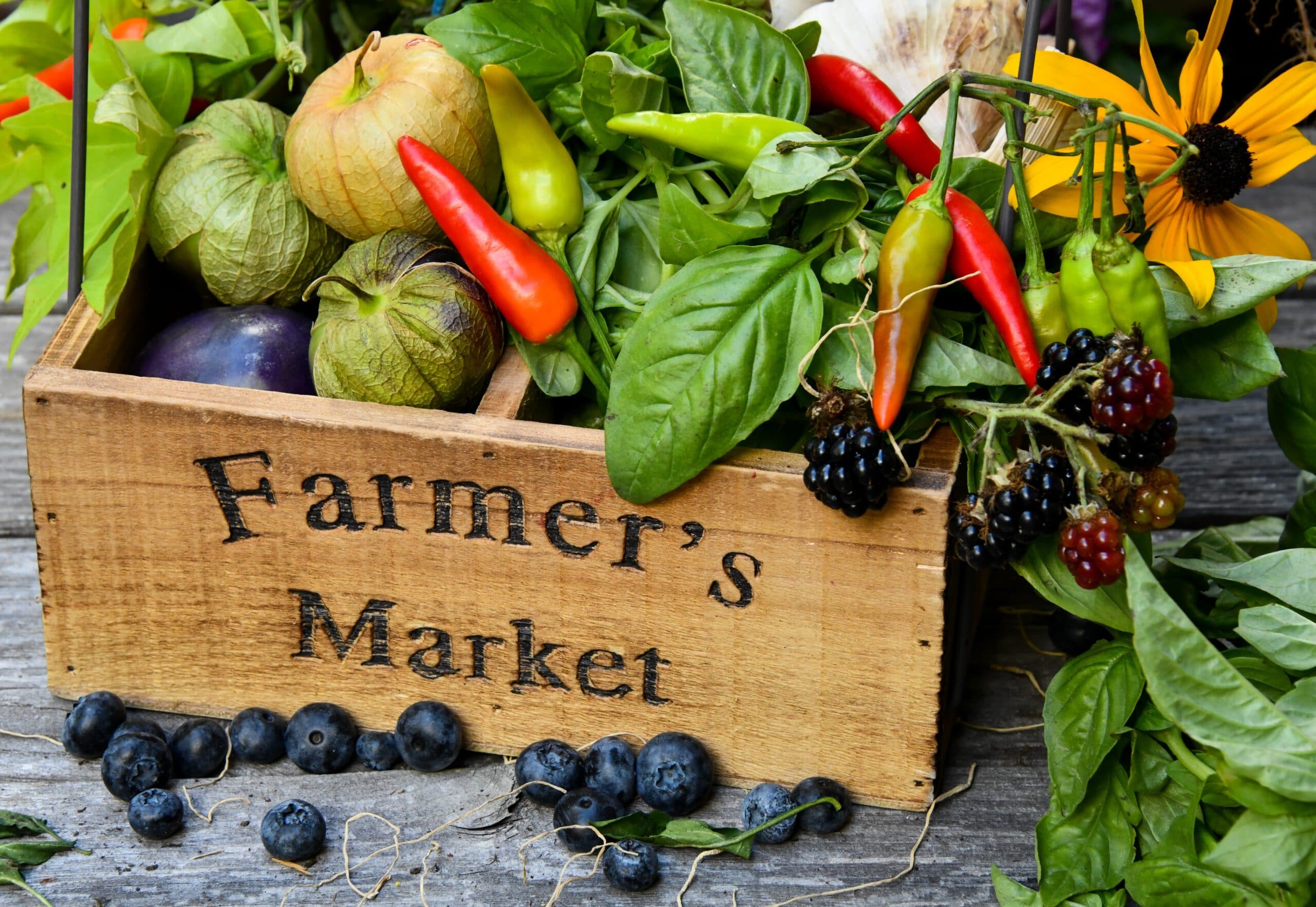 Osoyoos Farmers Market @ Town Square on Main Street poster