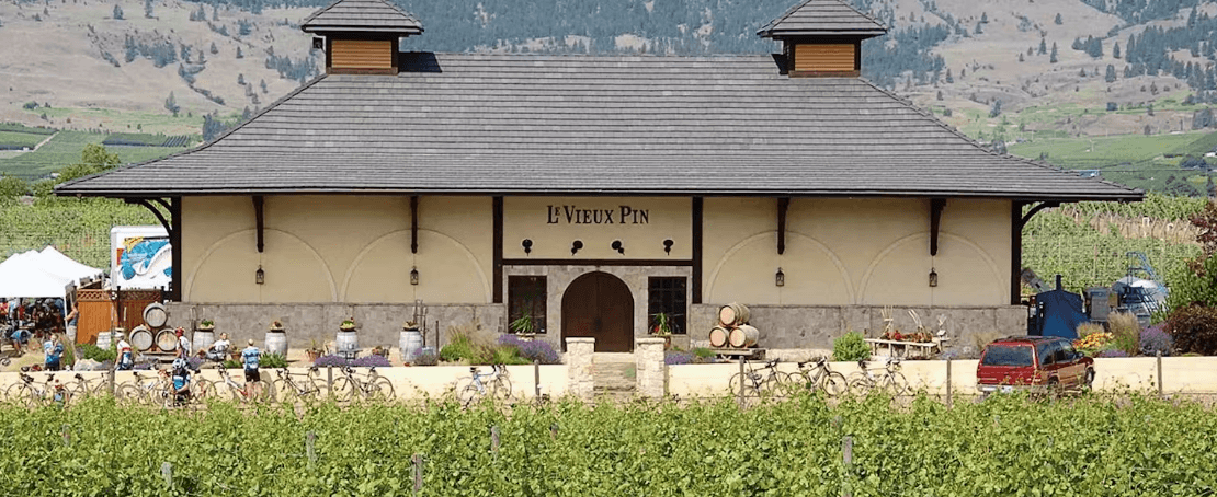 Le Vieux Pin Winery