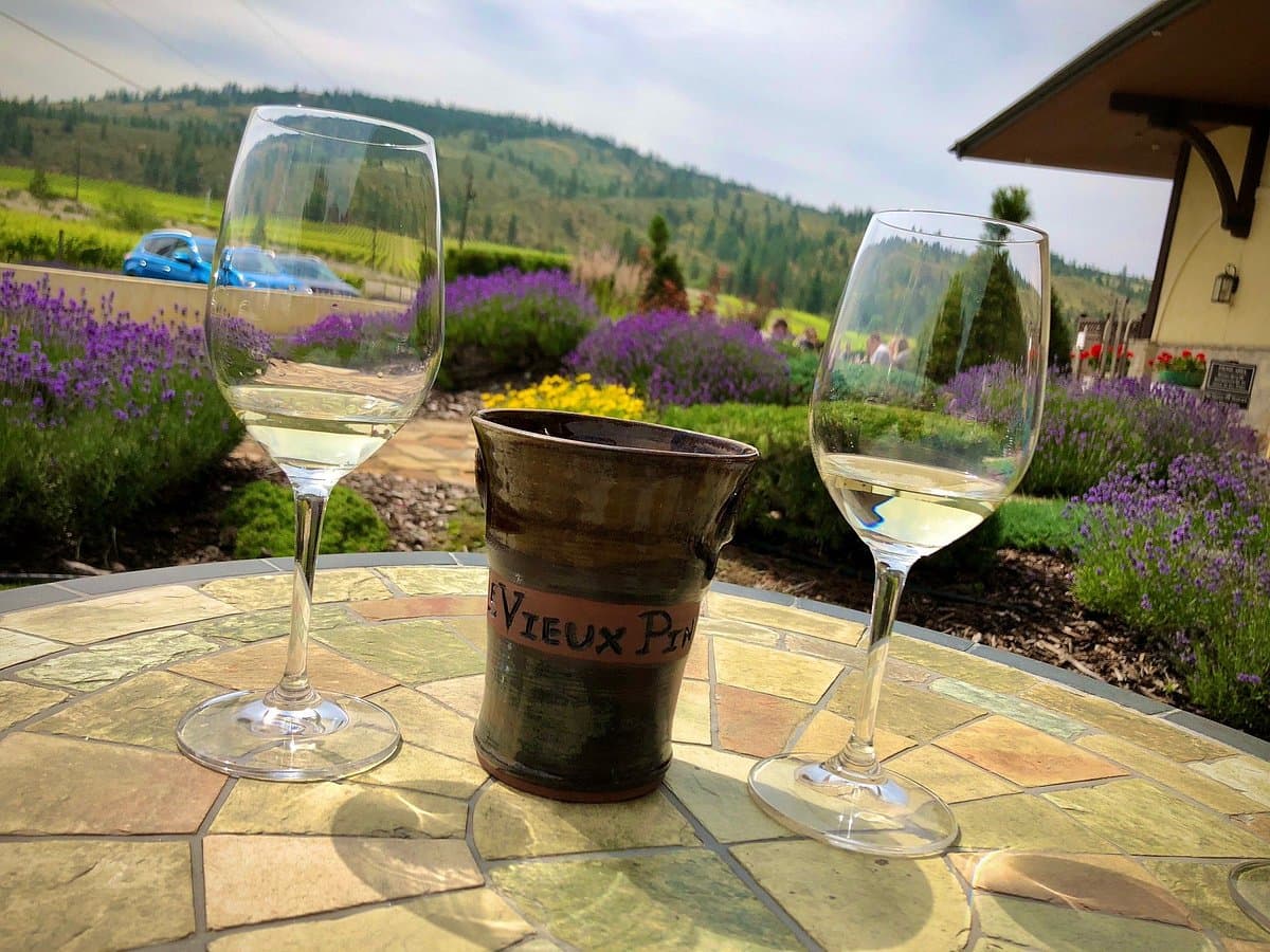 Le Vieux Pin Winery