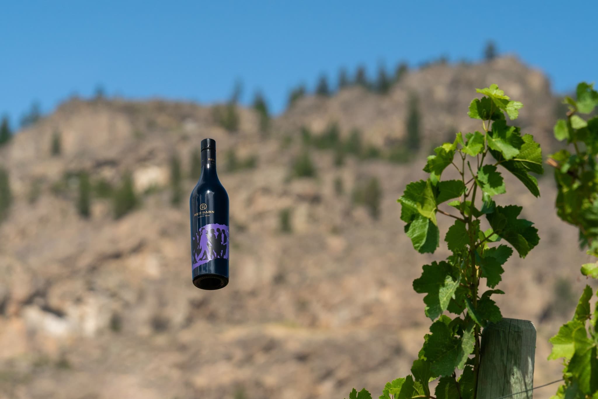 Red Barn Winery at Jagged Rock