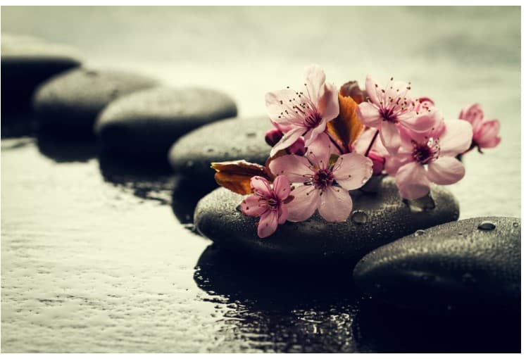 Osoyoos Family Massage and Wellness