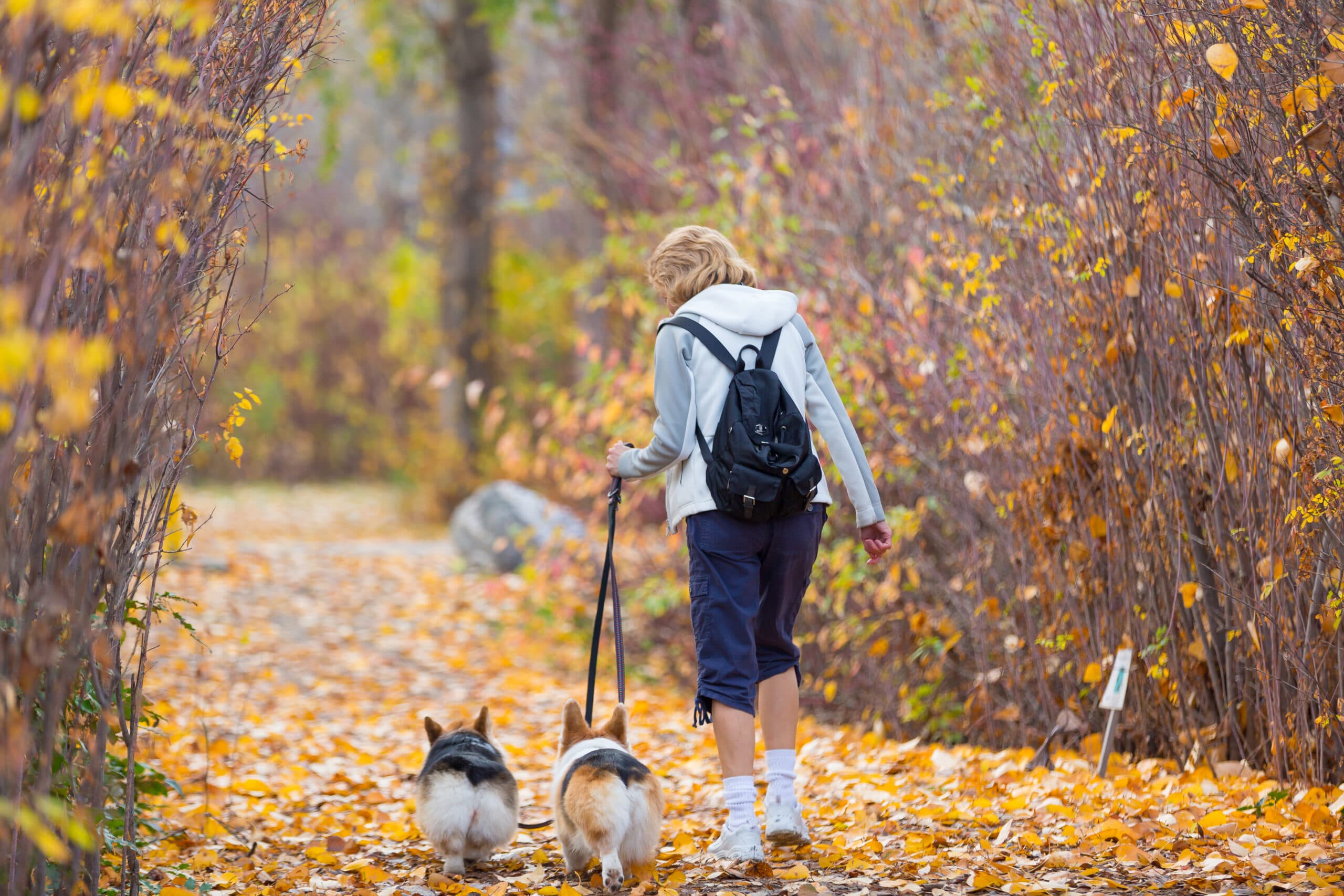 Pet-Friendly Osoyoos