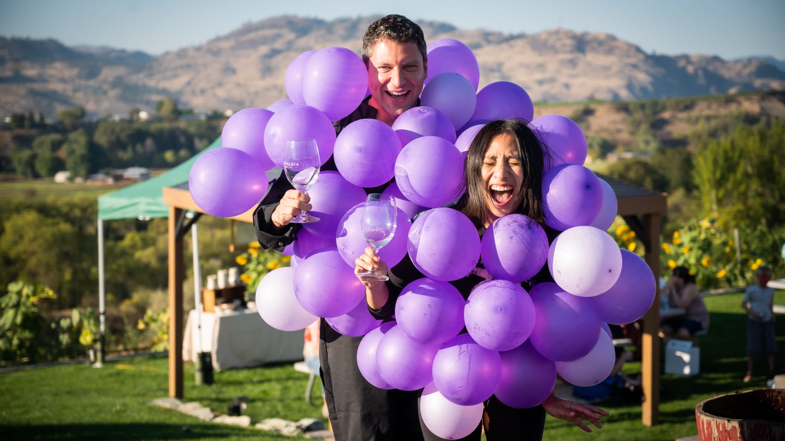 Wine Capital Weekend: Festival of the Grape @ Oliver Community Park poster
