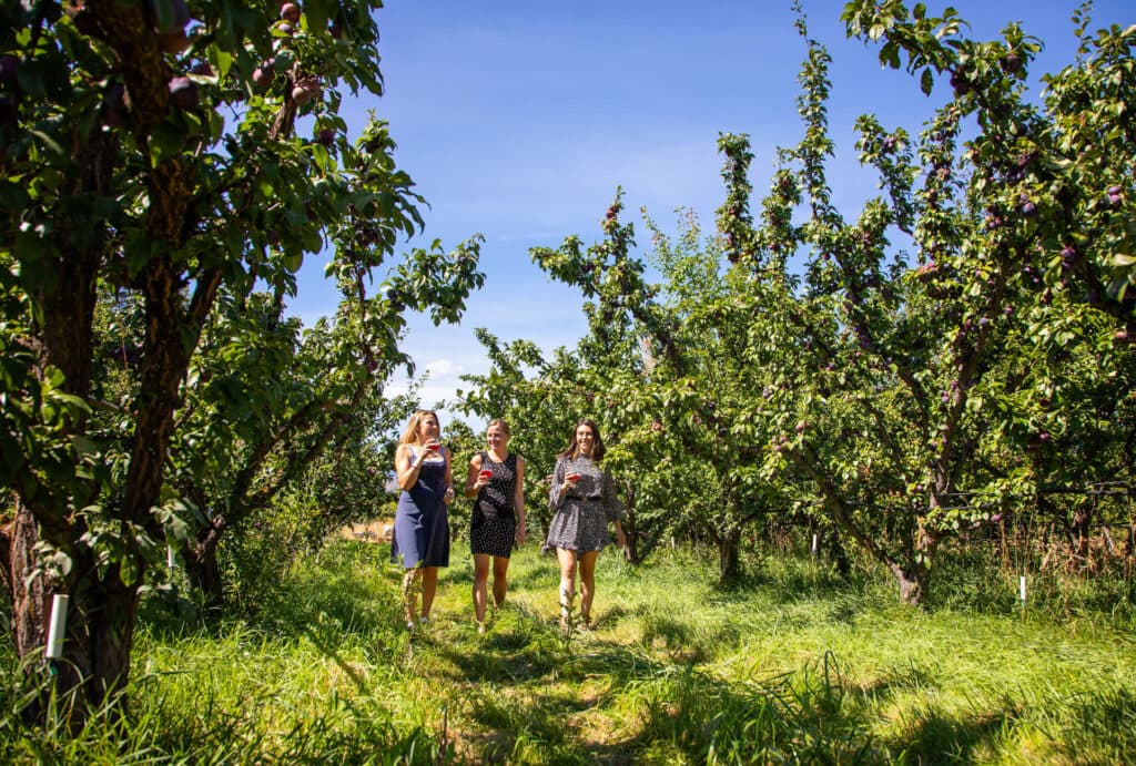 Breweries_and_Cideries_Hero (1)