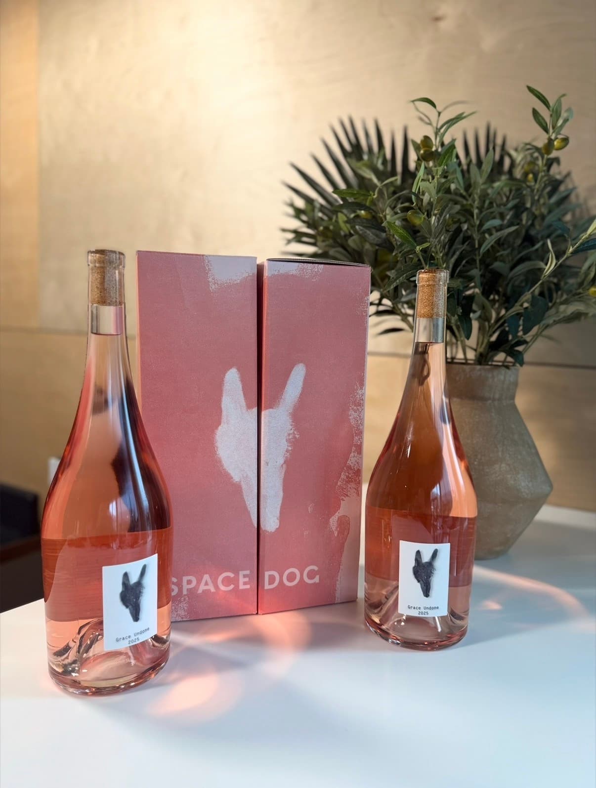Spacedog Wines