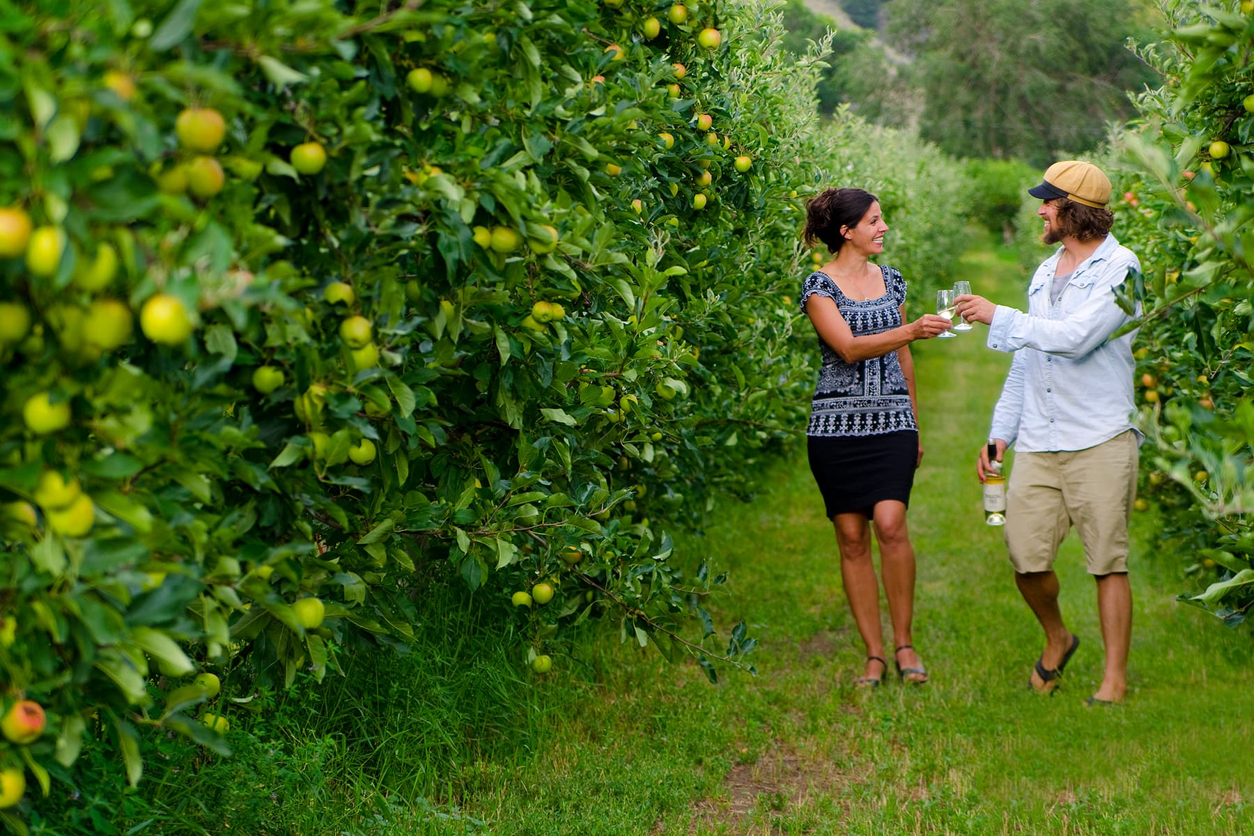 Beer, Cider & Spirits