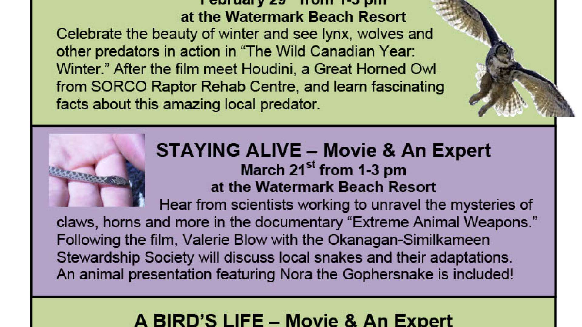 POSTPONED – The Osoyoos Desert Society Presents: A Bird's Life – Movie & An  Expert @ Watermark Beach Resort - Destination Osoyoos