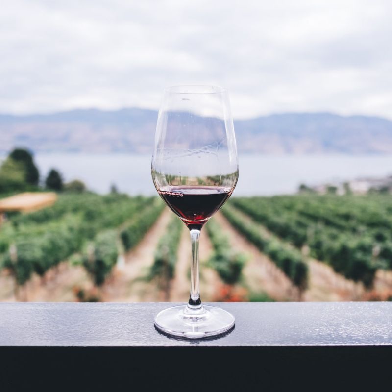 okanagan wine tours osoyoos