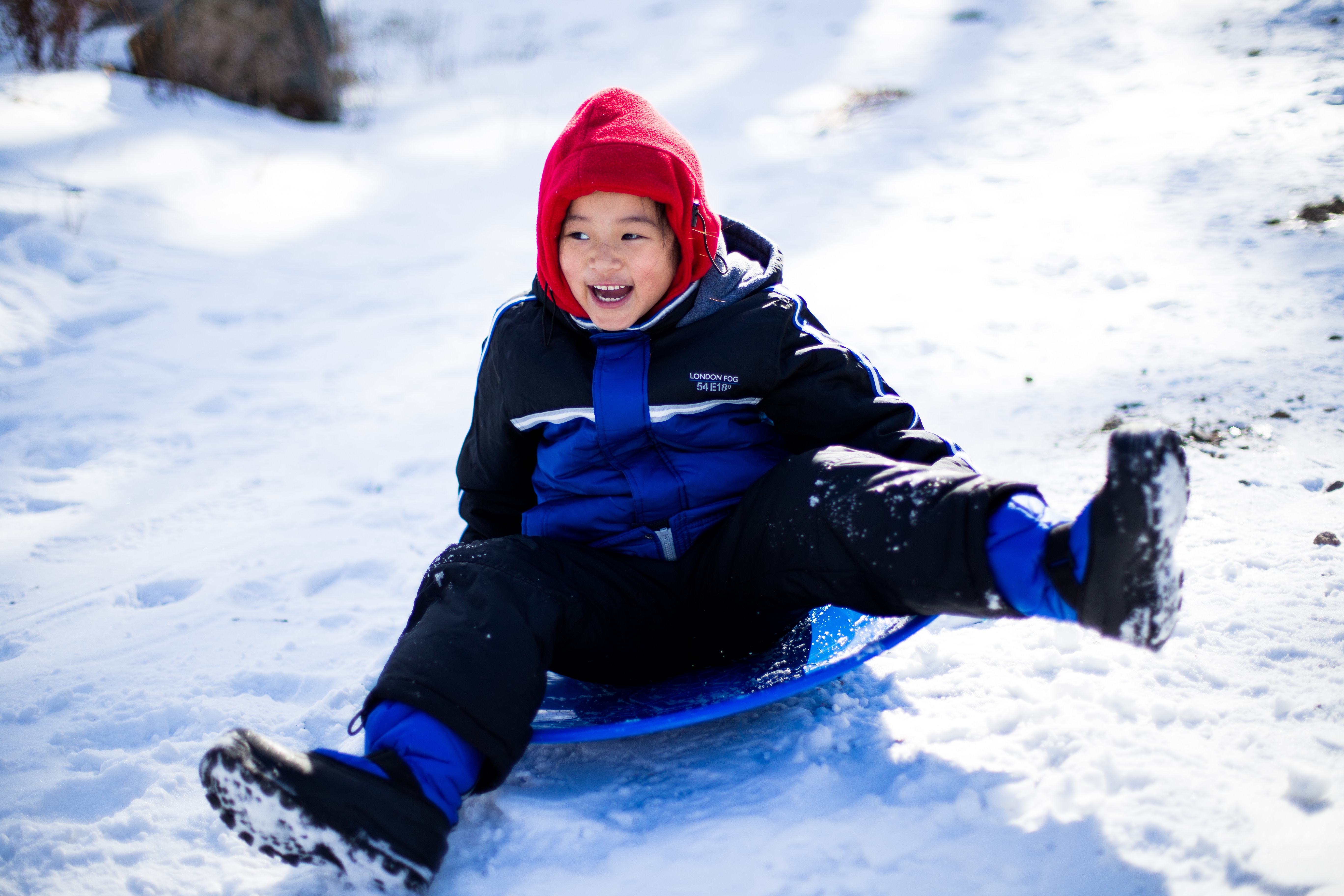 sledding baldy