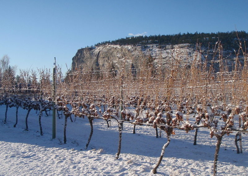 Winter Winery Hours 2019