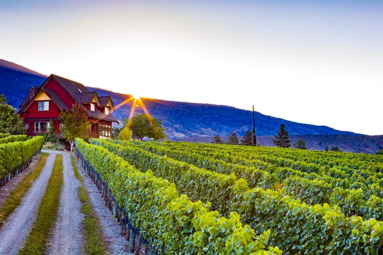 River Stone Estate Winery Destination Osoyoos